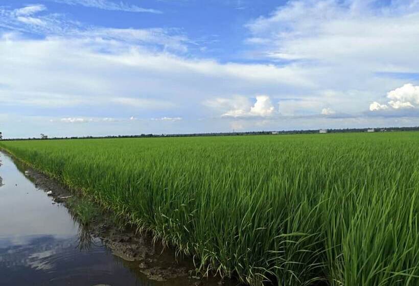 Fotos del hotel The One Boutique:  19