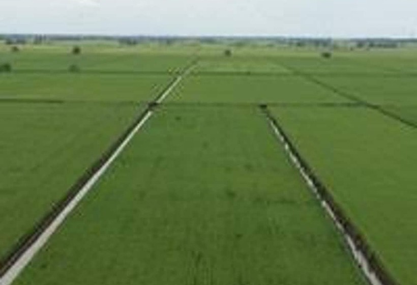 Fotos del hotel The One Boutique:  21