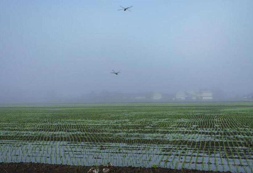 Fotos del hotel The One Boutique:  20