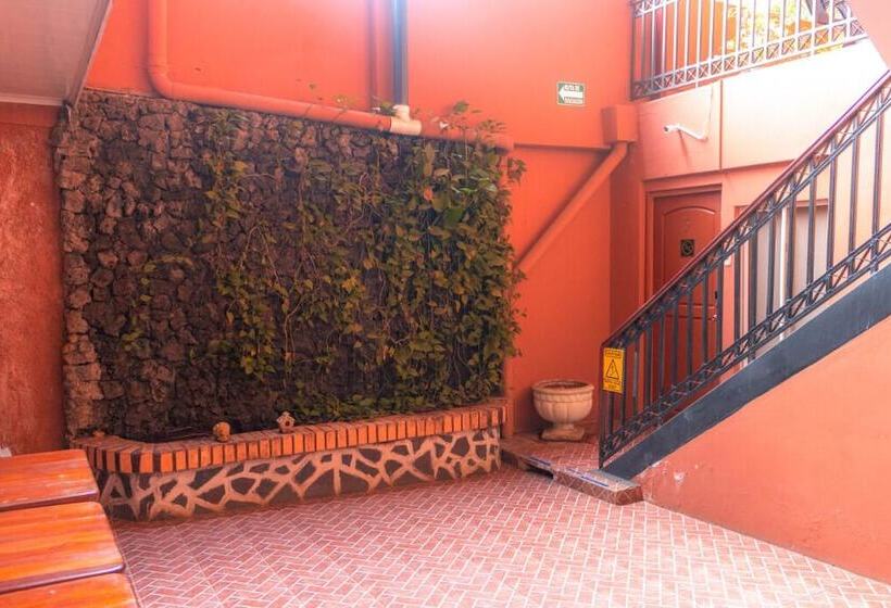 Fotos del hotel Ecotel:  13