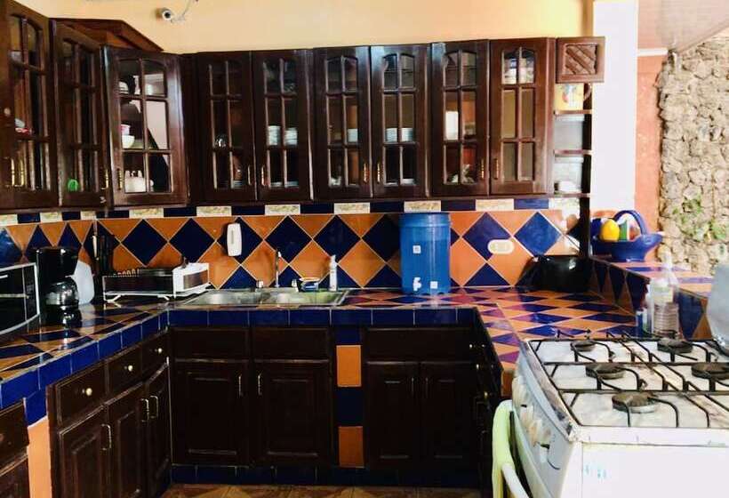 Fotos del hotel Ecotel:  11