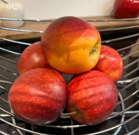 Fotos del hotel Köln 2020:  16