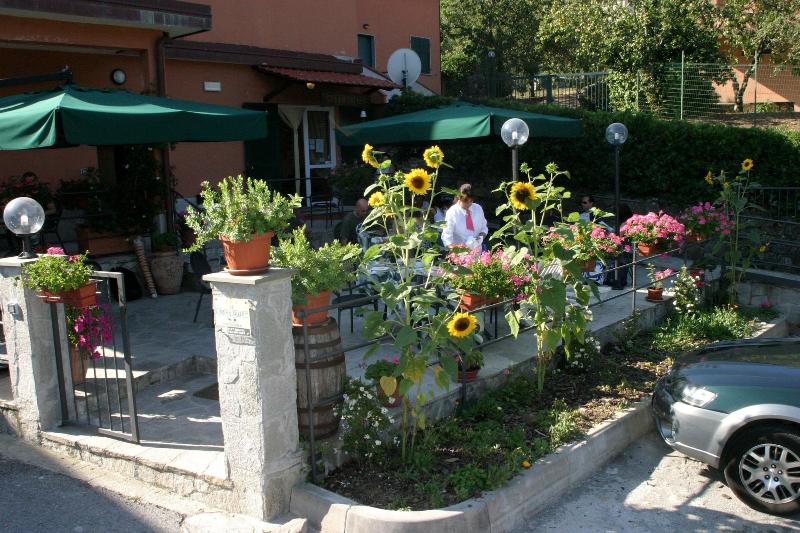 Fotos del hotel Green Quiet:  9