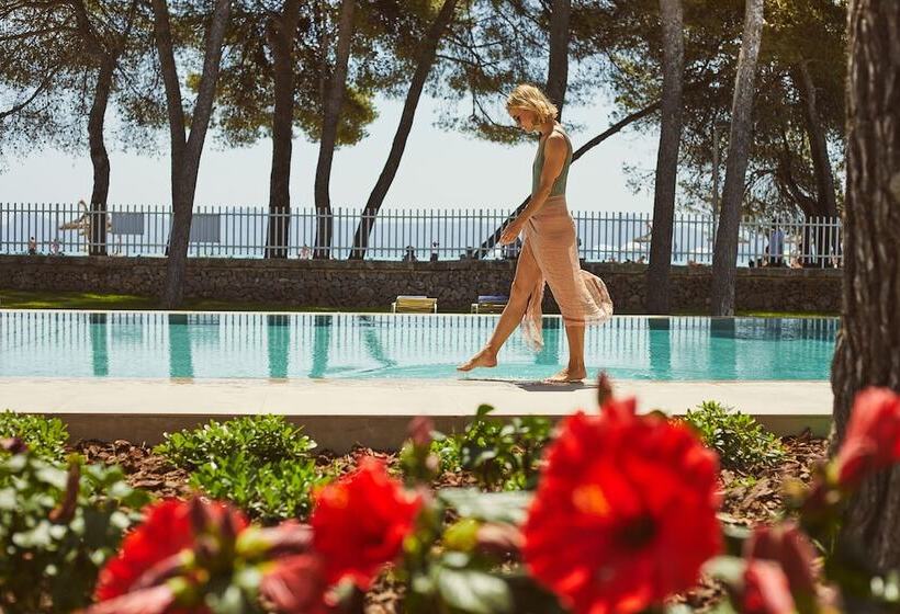 Fotos del hotel Sofia Alcudia Beach:  17