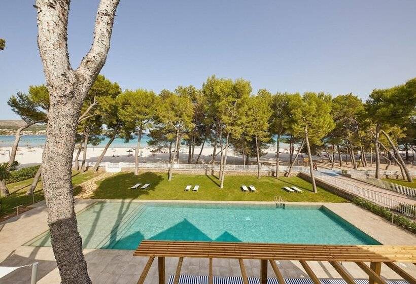 Fotos del hotel Sofia Alcudia Beach:  23