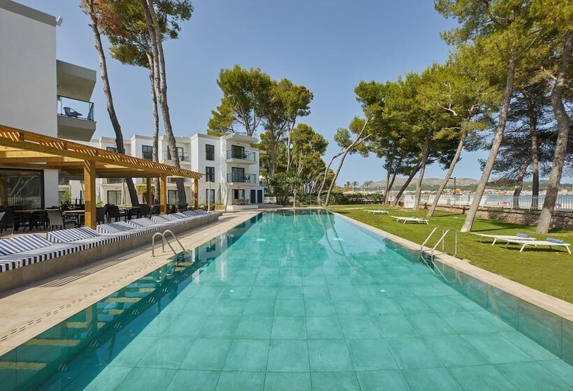 Fotos del hotel Sofia Alcudia Beach:  4