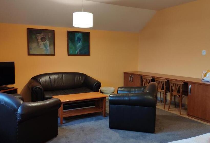 Fotos del hotel Penzion Silma:  8