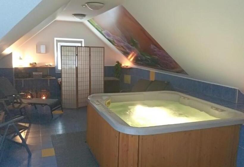 Fotos del hotel Penzion Silma:  11