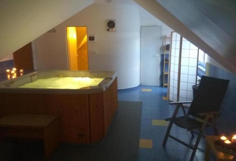 Fotos del hotel Penzion Silma:  20