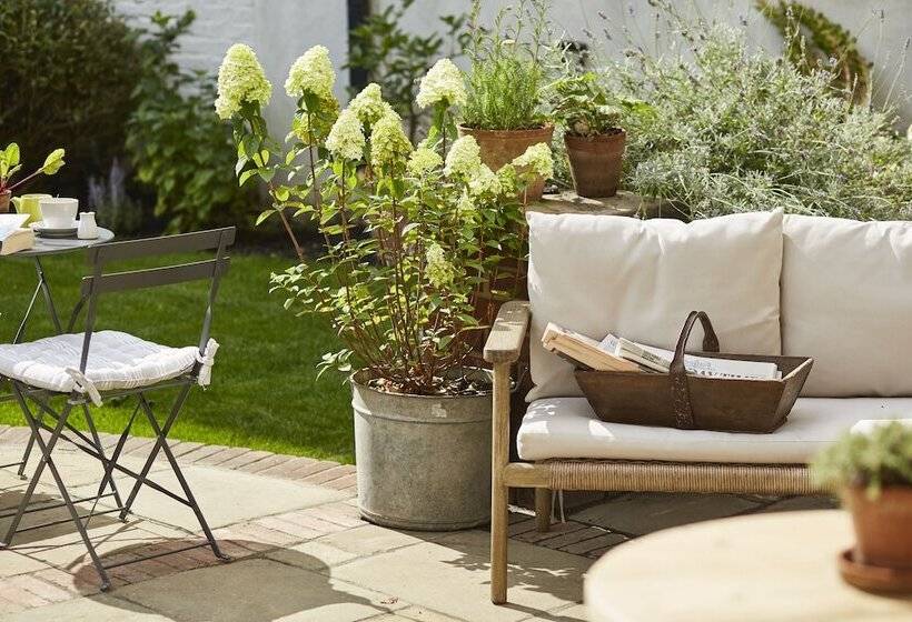 Fotos del hotel Lime Tree:  24