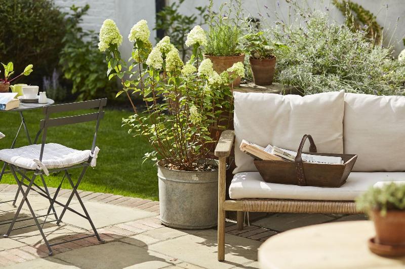 Fotos del hotel Lime Tree:  11