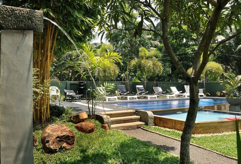 Fotos del hotel Hikka Villa:  3