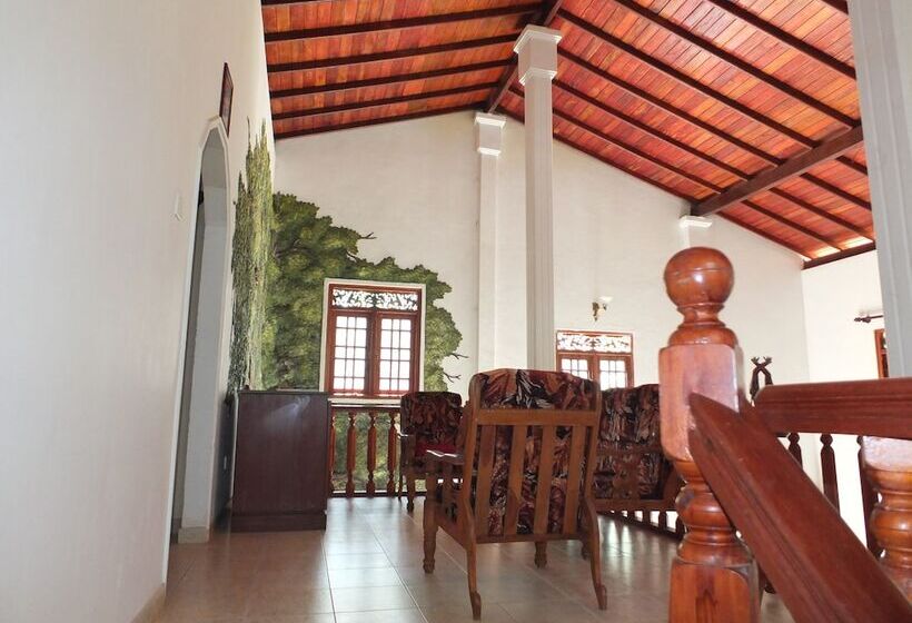 Fotos del hotel Hikka Villa:  4