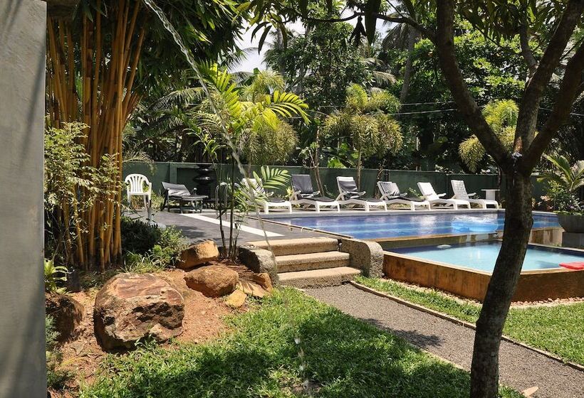 Fotos del hotel Hikka Villa:  14