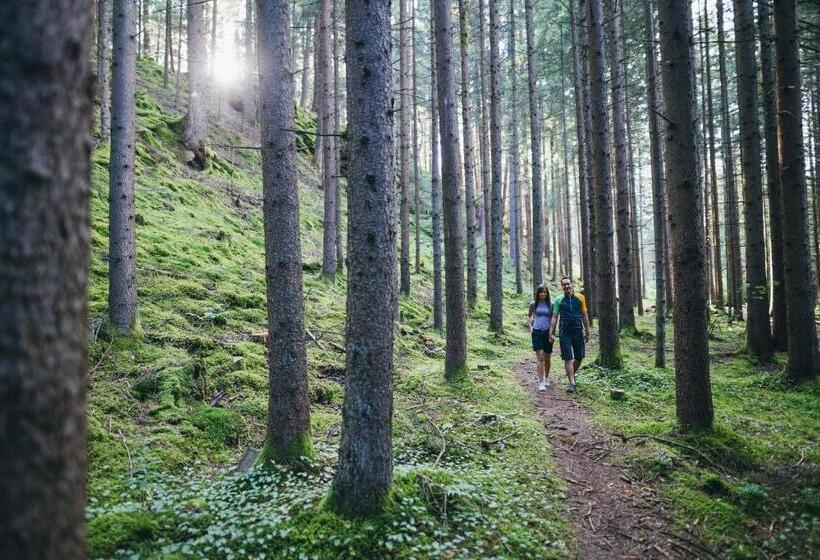 Fotos del hotel B & B Gmeineck:  23