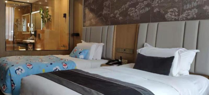 Fotos del hotel Lvcheng Zhongzhou International:  15