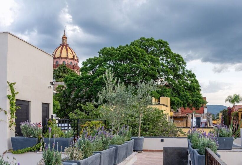 Fotos del hotel Casa Quebrada Hotel Boutique:  17