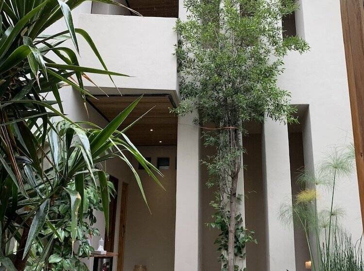 Fotos del hotel Casa Quebrada Hotel Boutique:  2