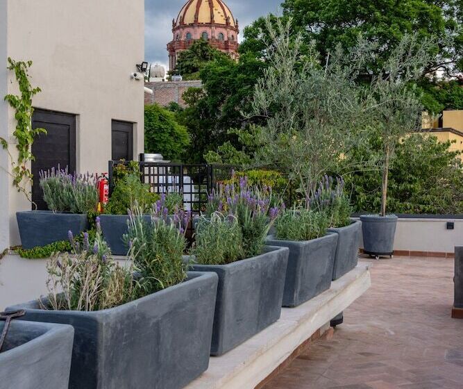 Fotos del hotel Casa Quebrada Hotel Boutique:  7