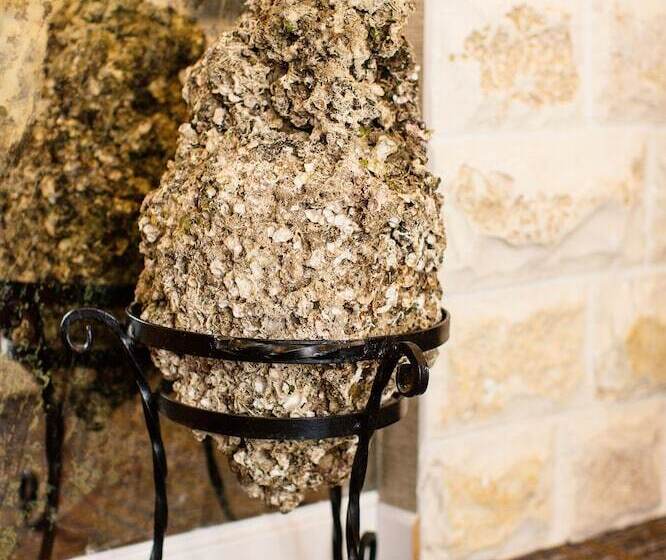 Fotos del hotel Boutique Hotel Tate By Aycon:  3