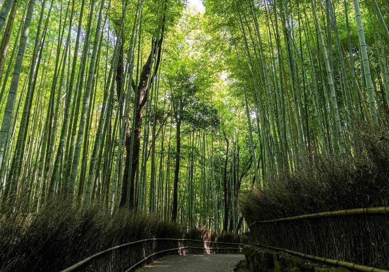 Fotos del hotel Garrya Nijo Castle Kyoto:  10