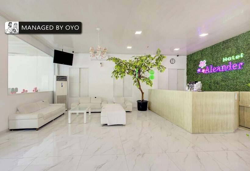 Fotos del hotel Capital O 4002 Aleander:  24