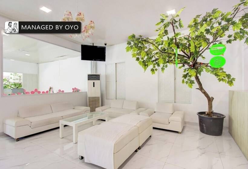 Fotos del hotel Capital O 4002 Aleander:  6