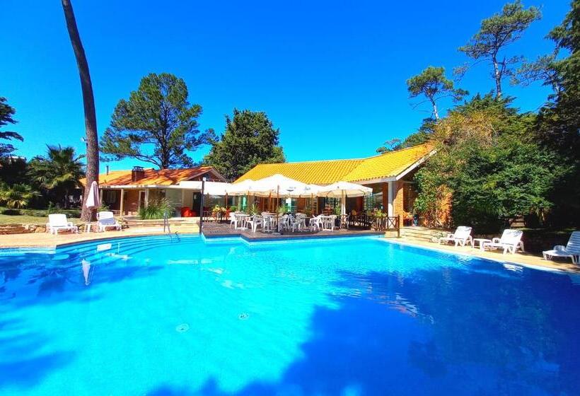 Fotos del hotel Nobile Inn Punta Del Este:  7