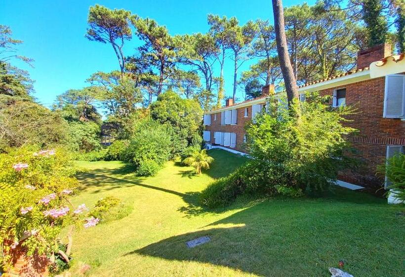 Fotos del hotel Nobile Inn Punta Del Este:  4