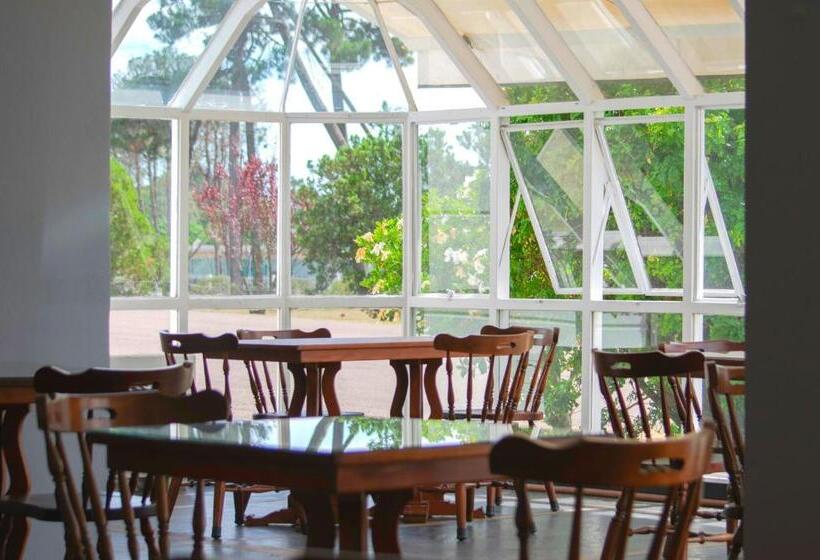 Fotos del hotel Nobile Inn Punta Del Este:  14