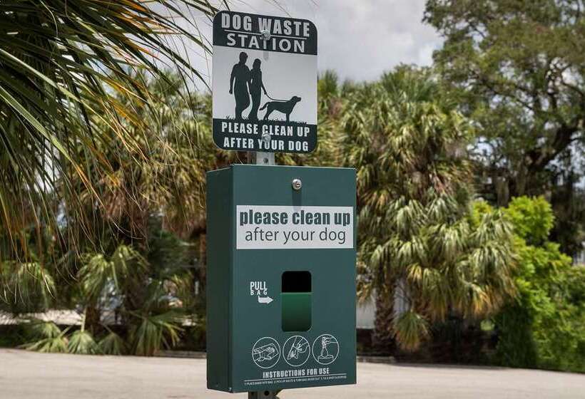 Fotos del hotel Home2 Suites By Hilton Orlando Downtown, Fl:  4