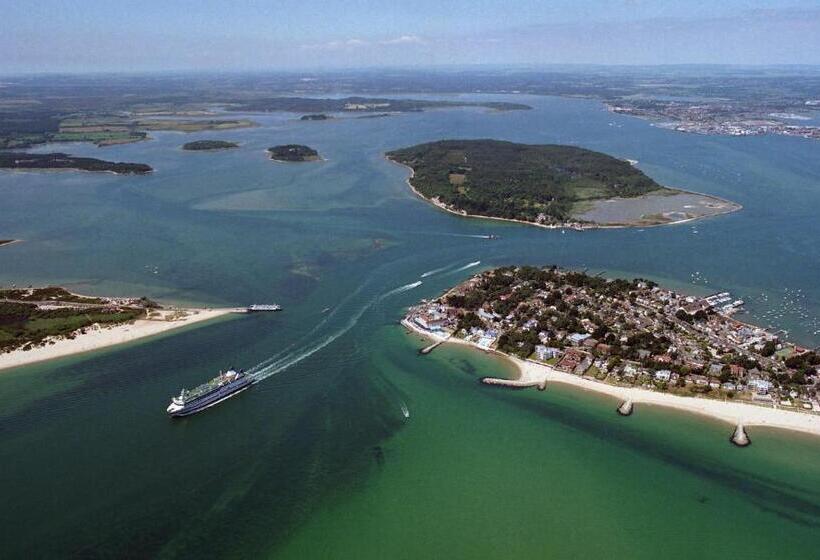 Fotos del hotel Alum Chine Beach House:  5