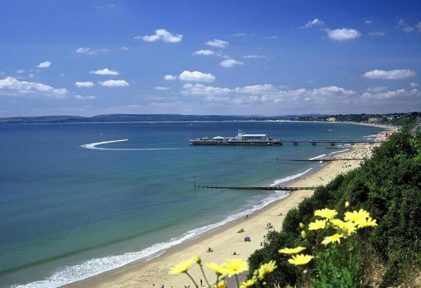 Fotos del hotel Alum Chine Beach House:  3