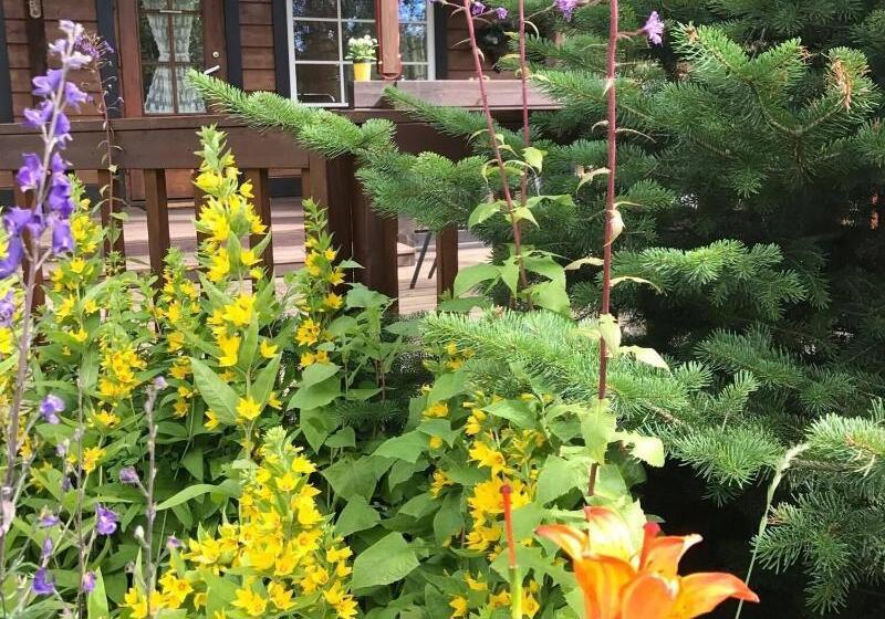 Fotos del hotel Blue Grove Guesthouse:  7