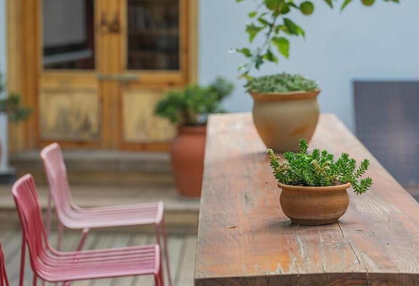 Fotos del hotel Arro Khampa By Zinc Journey Lijiang:  6