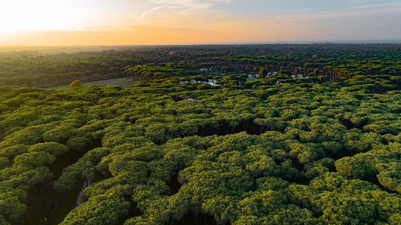 Fotos del hotel Camping Village Roma Capitol:  7