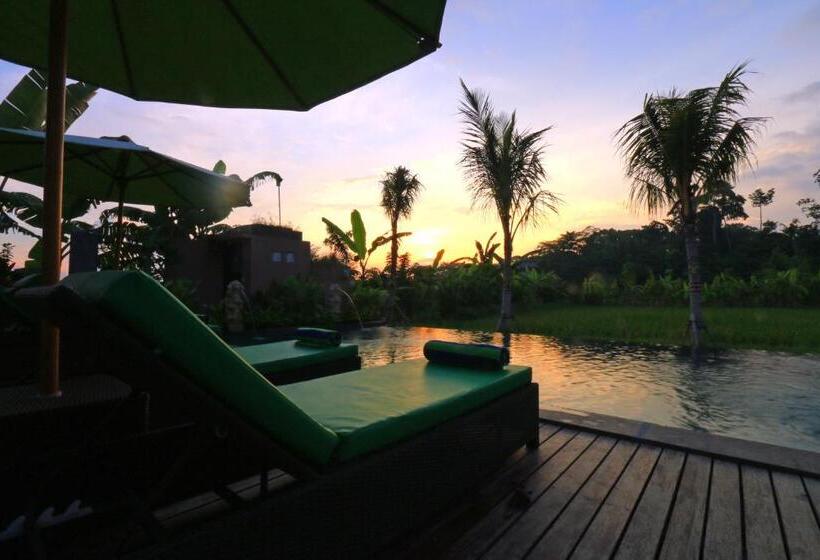 Fotos del hotel Ubud Tropical Garden:  25