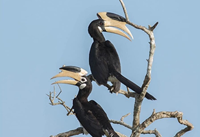 Fotos del hotel Mahoorayala By Eco Team:  24