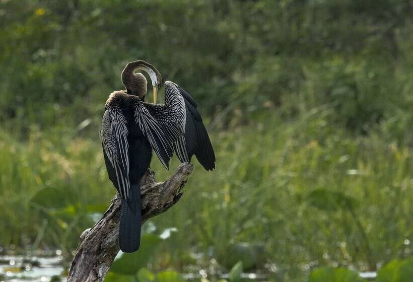 Fotos del hotel Mahoorayala By Eco Team:  11