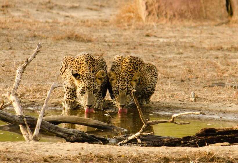 Fotos del hotel Mahoorayala By Eco Team:  5