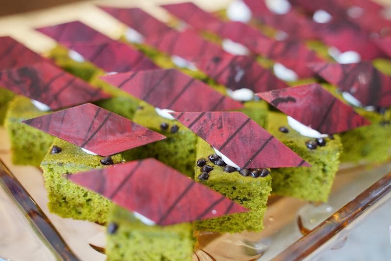 Fotos del hotel GIC Land Hotel:  19