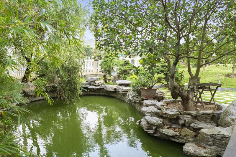 Fotos del hotel Phuong Anh:  12