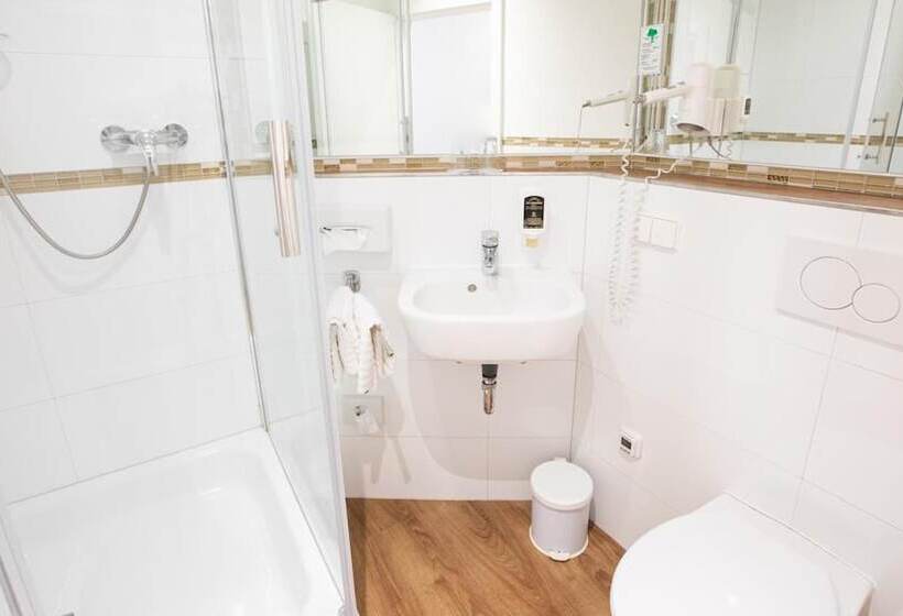 Fotos del hotel Astoria:  7