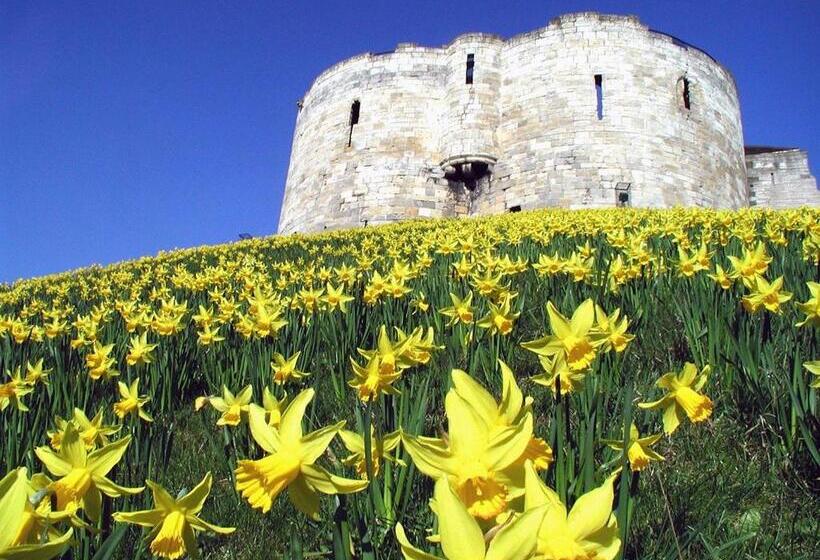 Fotos del hotel Avondale Guest House:  10