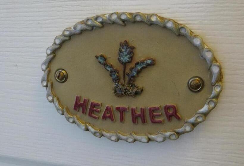 Fotos del hotel Avondale Guest House:  18