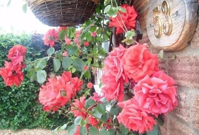 Fotos del hotel Rosa's Bed And Breakfast:  10