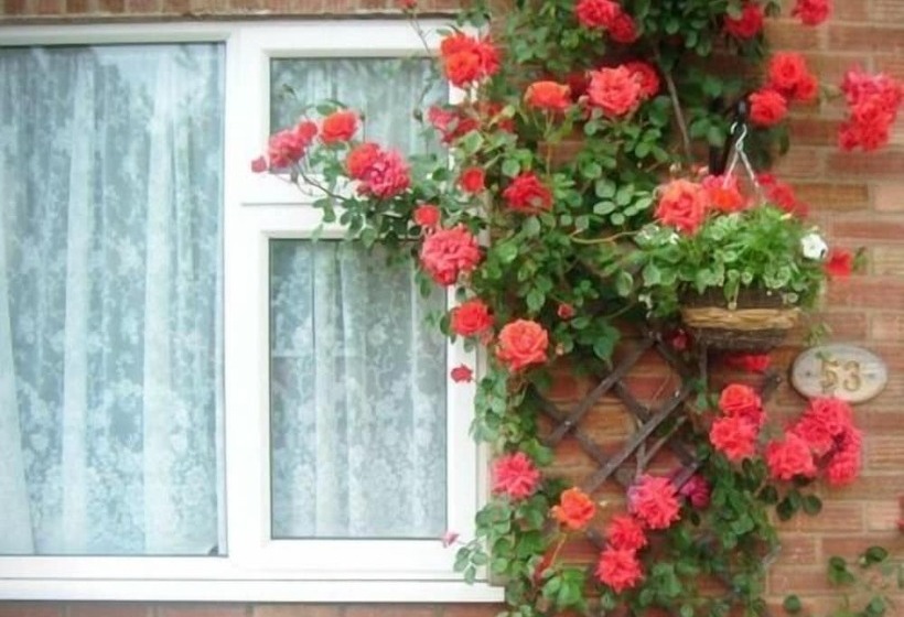 Fotos del hotel Rosa's Bed And Breakfast:  12