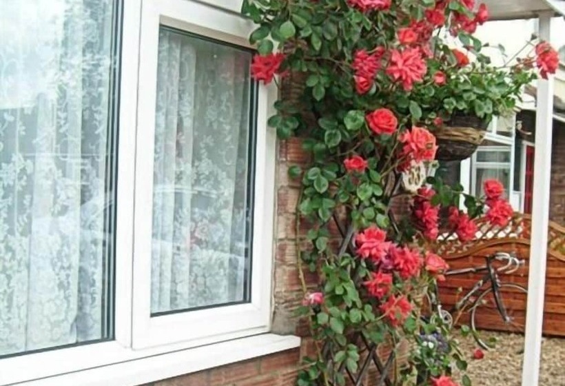 Fotos del hotel Rosa's Bed And Breakfast:  13