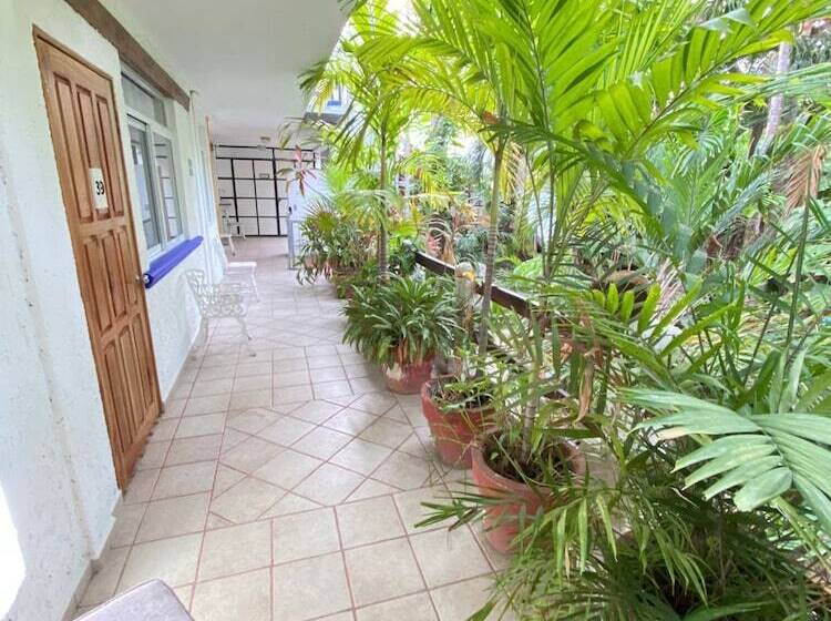 Fotos del hotel Eco El Rey Del Caribe:  8