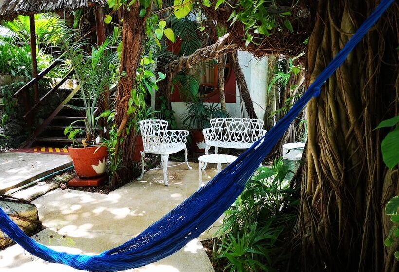 Fotos del hotel Eco El Rey Del Caribe:  7